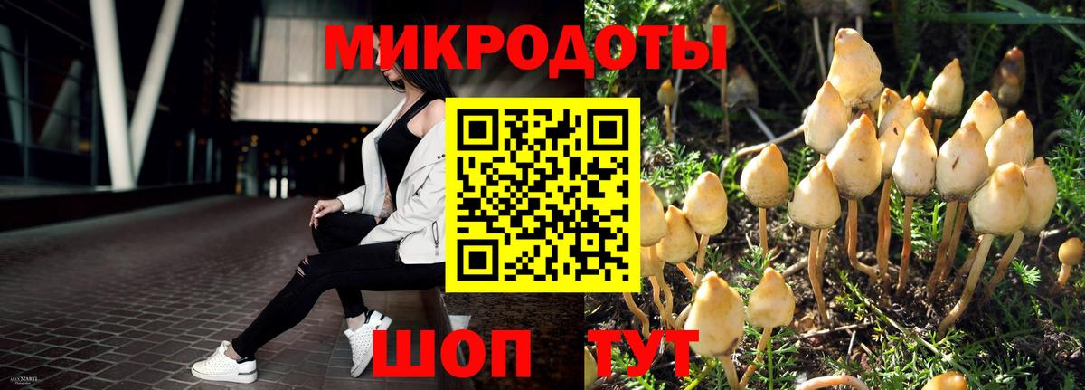 Псилоцибиновые грибы GOLDEN TEACHER Сегежа